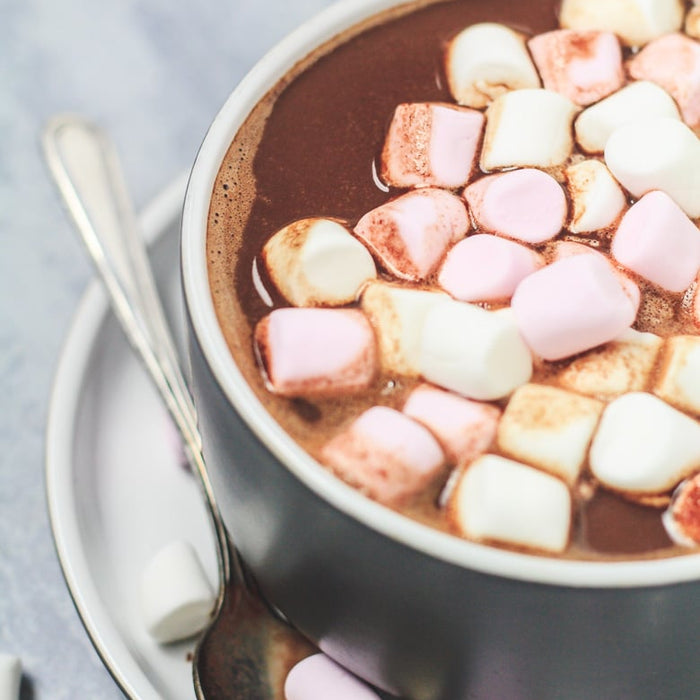 Hot Chocolate Marshmallow Bombe