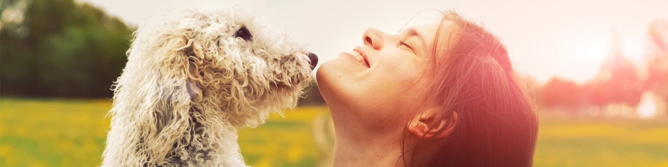 Personalised Gifts For Pets