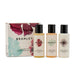 Bramley Discovery Mini Body Set