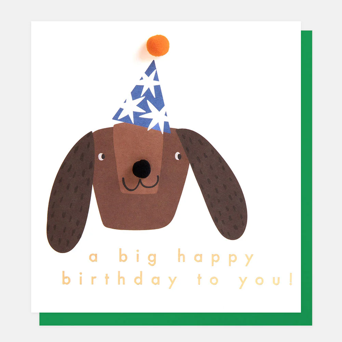 Dog in a a party hat birthday card Caroline Gardner