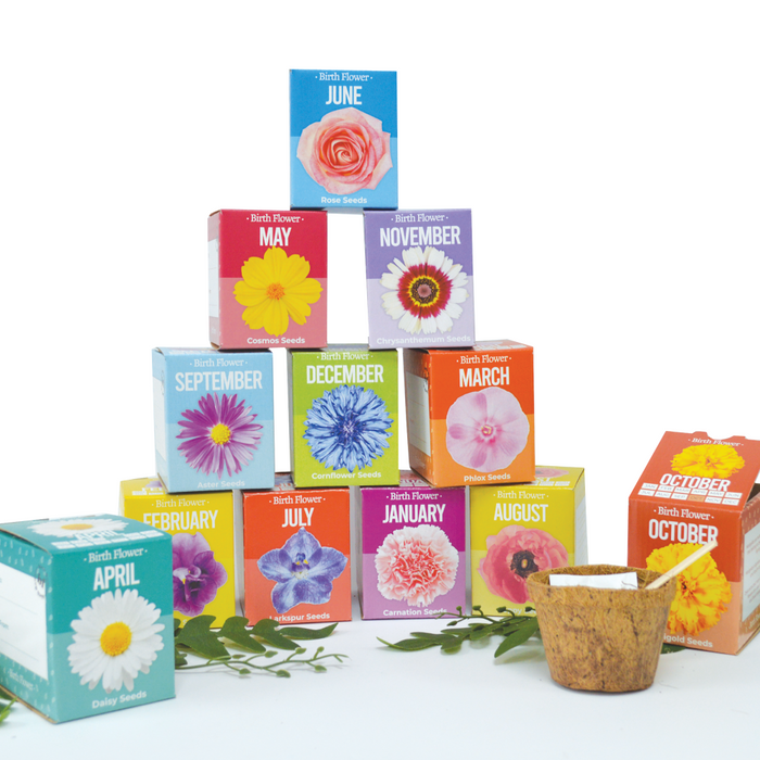 Birthday Flower Seeds By Month - Jan to Dec