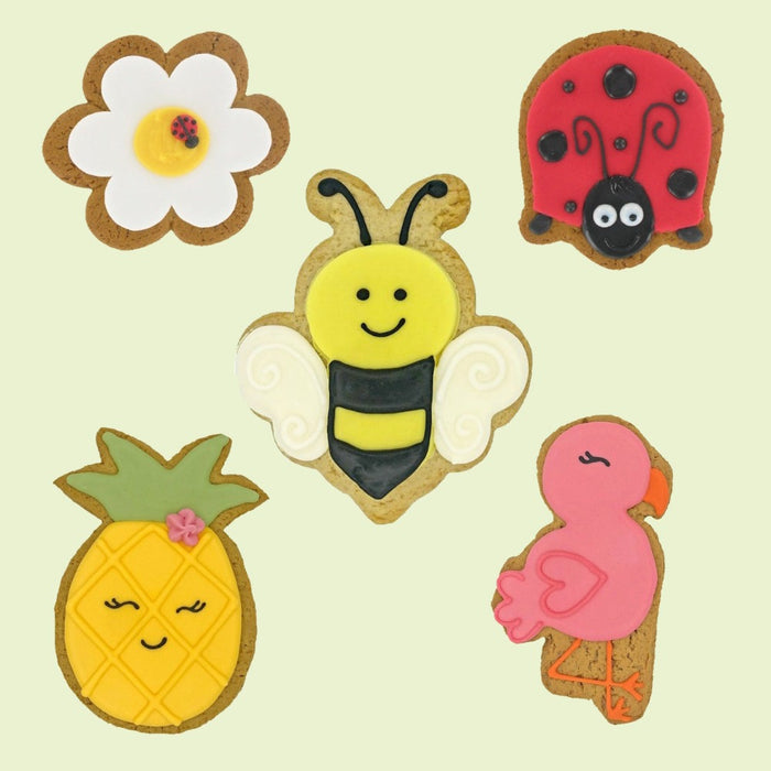 Summer Fun Iced Biscuit - Various Designs