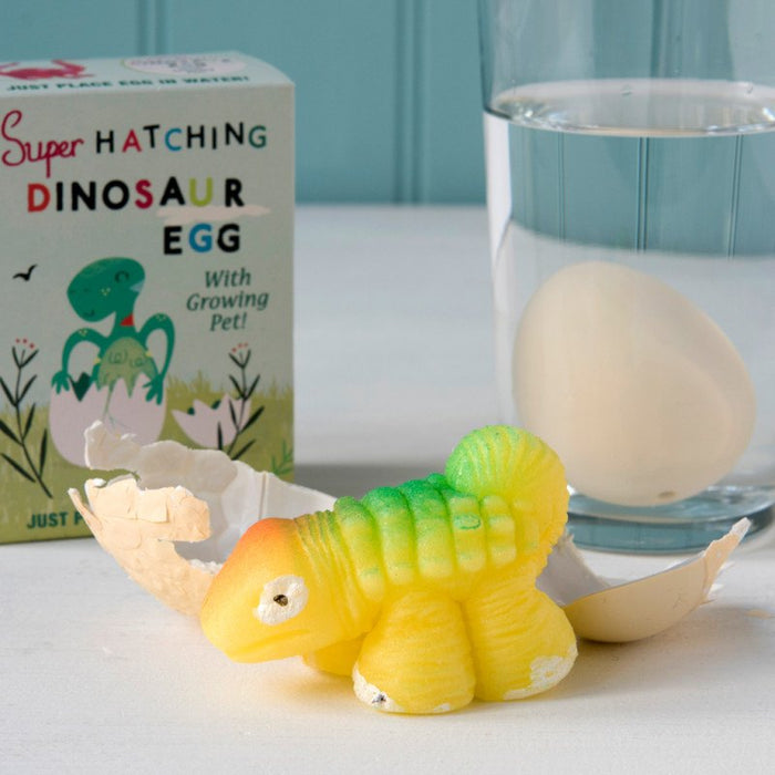 The Personalised Rawrsome Dinosaur Care Package Gift Box