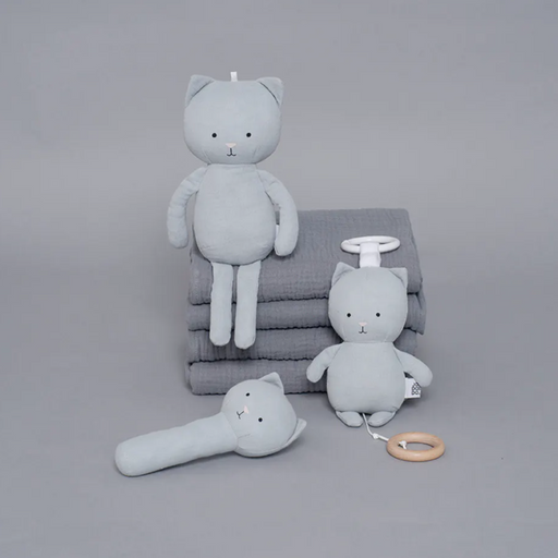 Kitten rattle