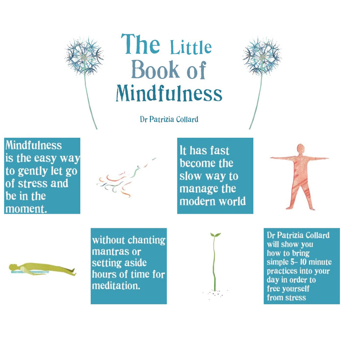 The Little Book Of Mindfulness