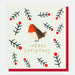 Robin Christmas Card