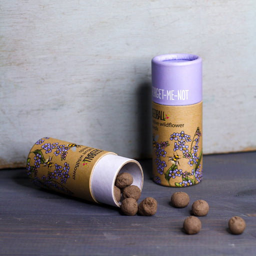 Forget Me Not Seeds