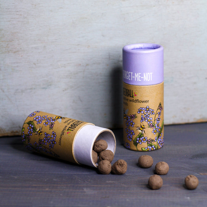 Forget Me Not Seeds