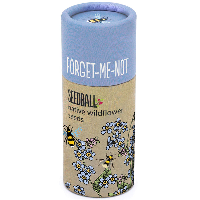 Forget Me Not Seeds