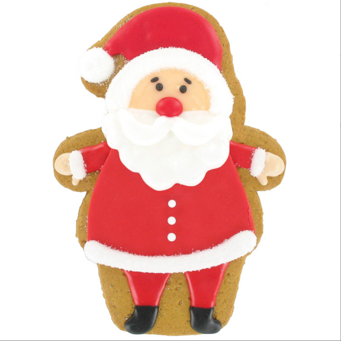 Iced Santa Gingerbread Biscuit