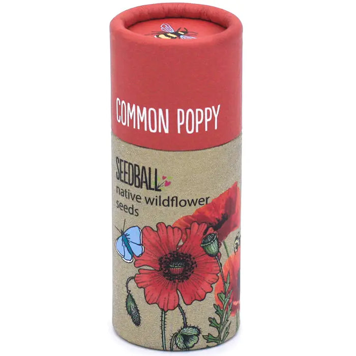Wildflower Seeds Tube 