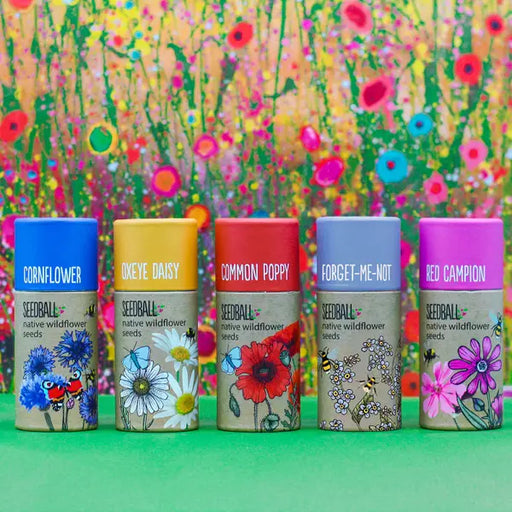 Wildflower Seeds Tube 