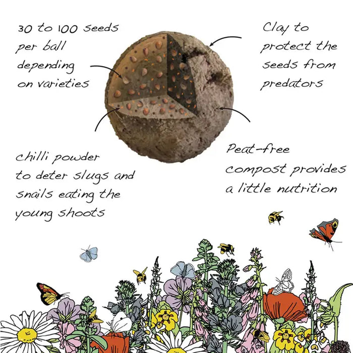 Wildflower Seeds Tube 