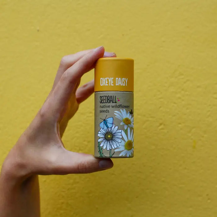 Wildflower Seeds Tube 
