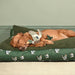 Sophie Allport Duck Rope Dog Toy