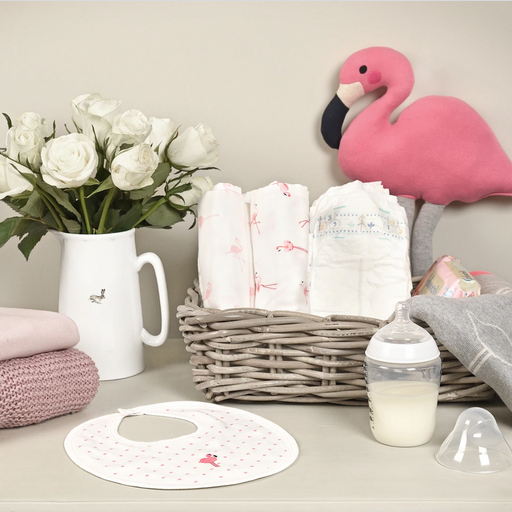 Sophie Allport Flamingos Baby Bib