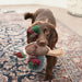 Sophie Allport Pheasant Rope Dog Toy