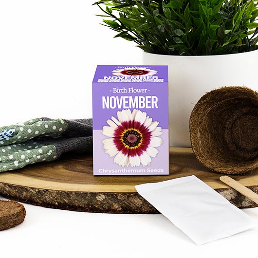 November Birthday Month Seeds - Jan to Dec