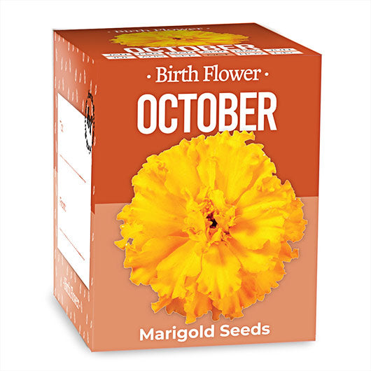 October Birthday Month Seeds - Jan to Dec