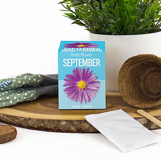 September - Birthday Month Seeds - Jan to Dec