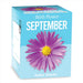 September Birthday Month Seeds - Jan to Dec