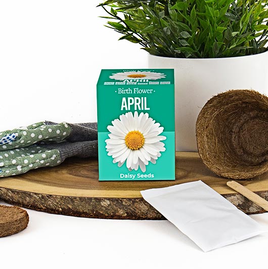 April - Birthday Month Seeds - Jan to Dec