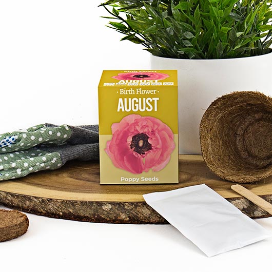 August - Birthday Month Seeds - Jan to Dec