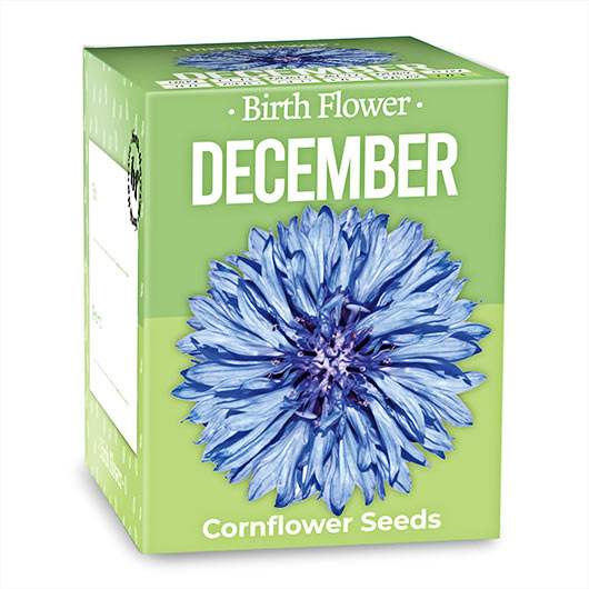 December Birthday Month Seeds - Jan to Dec