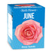 June - Birthday Month Seeds - Jan to Dec