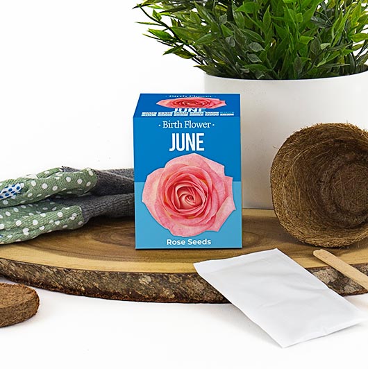June - Birthday Month Seeds - Jan to Dec