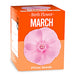 March - Birthday Month Seeds - Jan to Dec