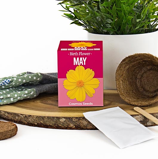 May - Birthday Month Seeds - Jan to Dec