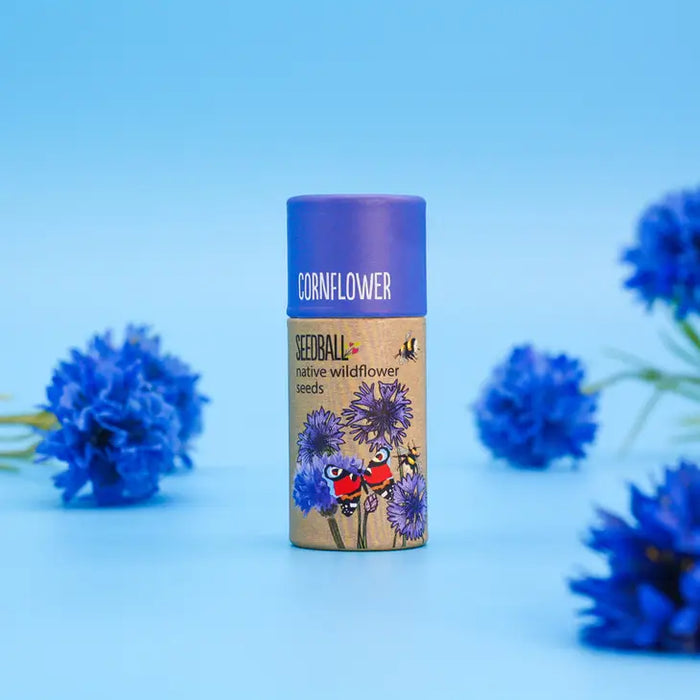 Wildflower Seeds Tube 