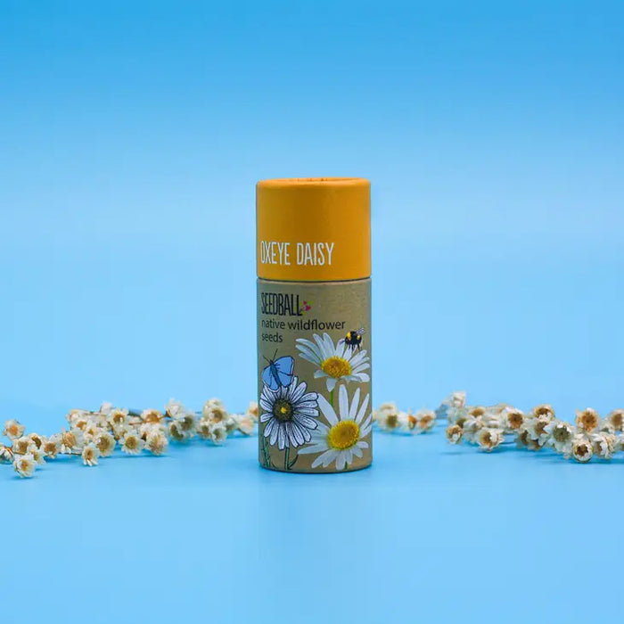 Wildflower Seeds Tube 