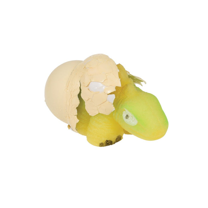 Hatch Your Own Dinosaur Egg
