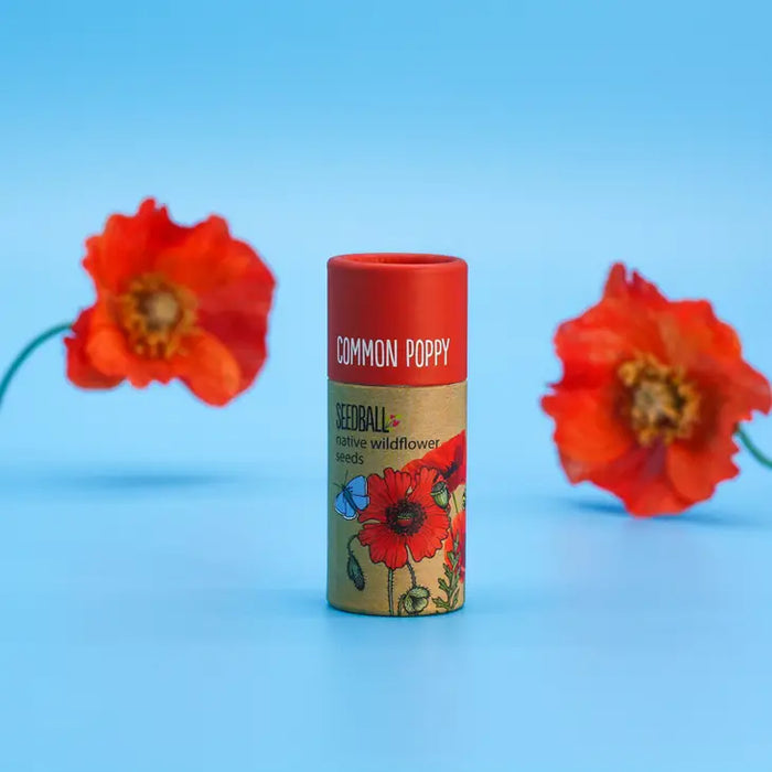 Wildflower Seeds Tube 