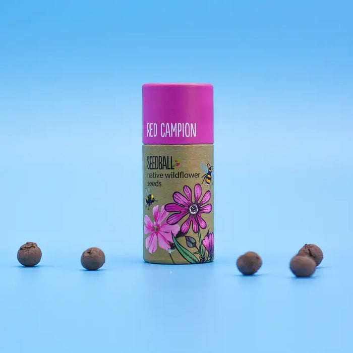 Wildflower Seeds Tube 