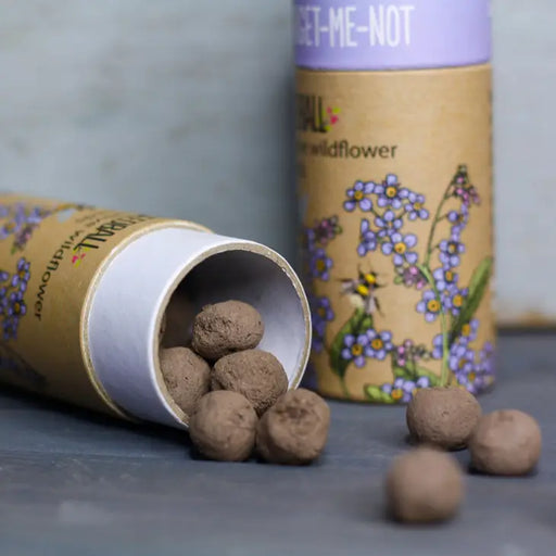 Wildflower Seeds Tube 